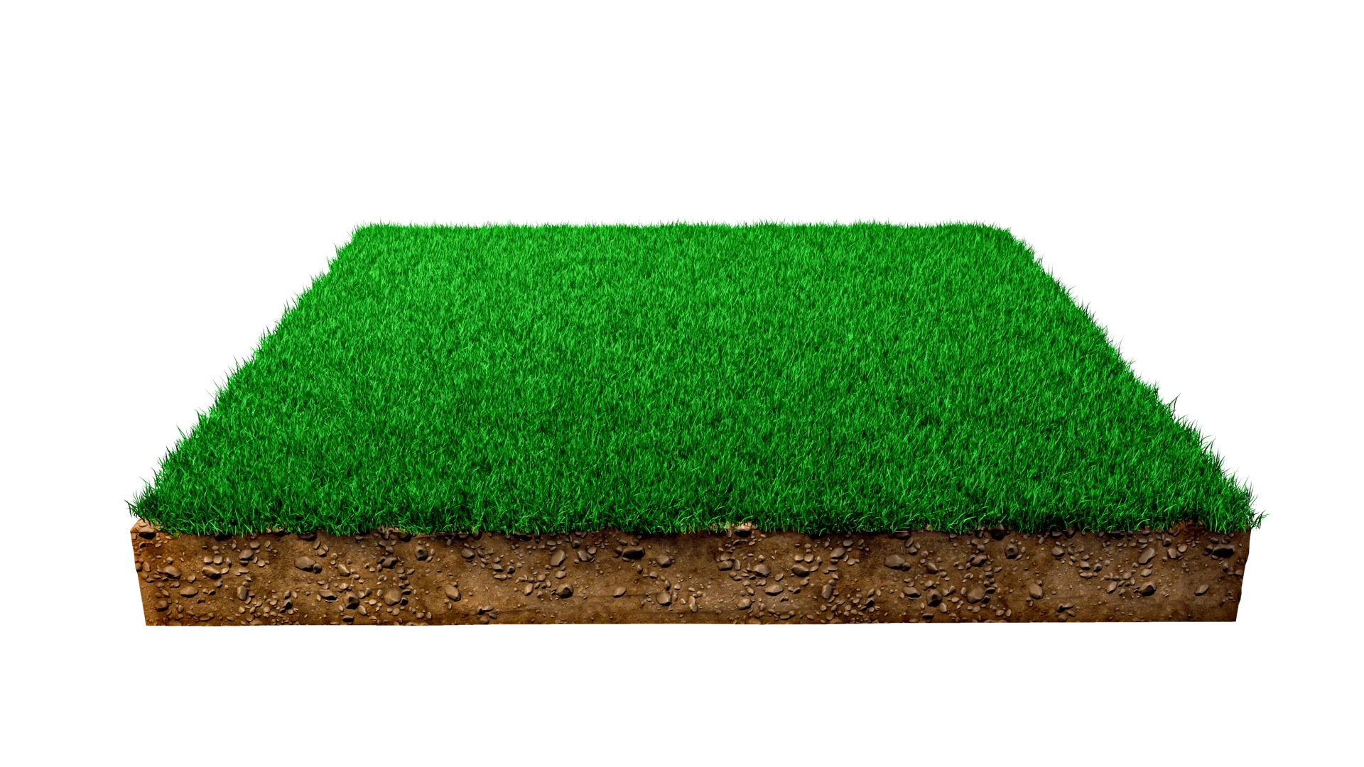 Land